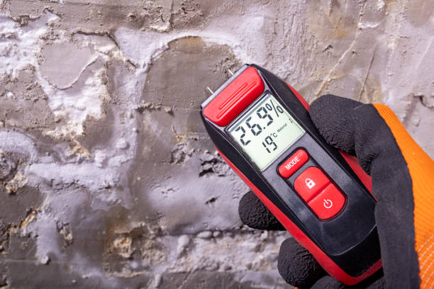 Trusted Trion, GA Mold Removal Experts