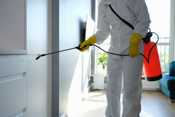 Best Fast Mold Removal  in Trion, GA